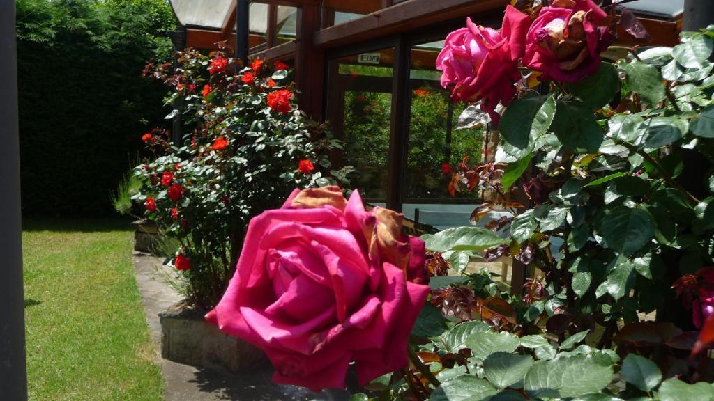 Hotel Logis La Rose Des Vents Volvic Exterior foto